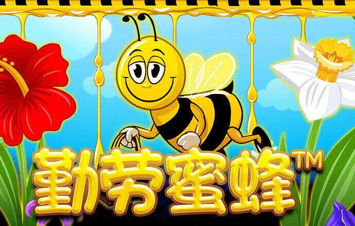 竞技联盟官网下载