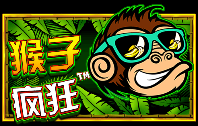 pg电子最新网站入口